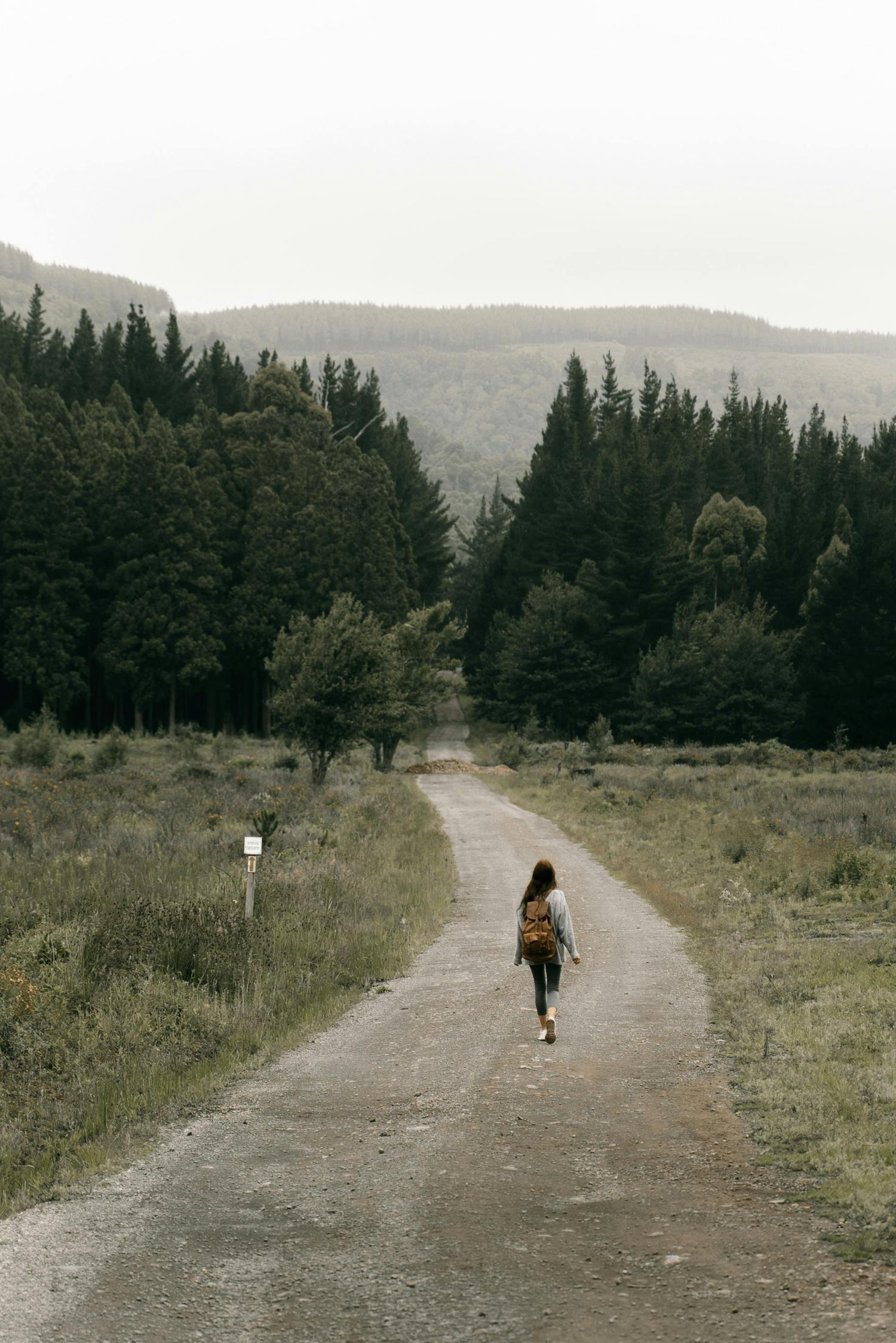 Woman walking along a path in the forest. She is wearing blue jeans, a grey sweater and a backpack.