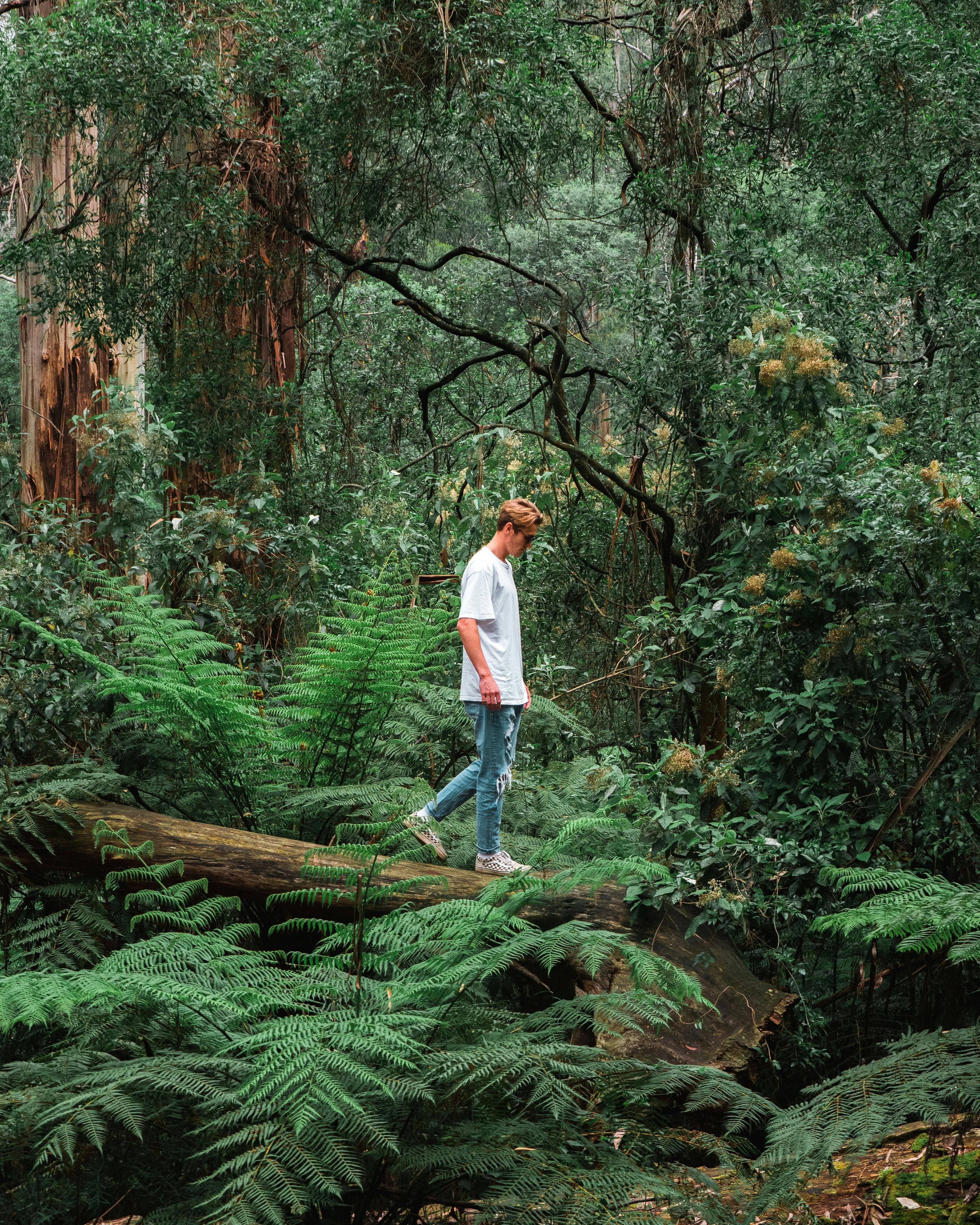 Close-up of a man walking in the forest, wearing a white t-shirt and jeans.