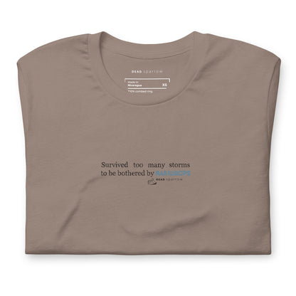 Image of a Survivor t-shirt for women. In the picture, the t-shirt is folded and has the colour pebble. The t-shirt has the quote "Survived too many storms to be bothered by raindrops". DEADsparrow.store.